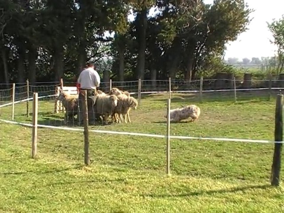 ethann cant 18.04.10