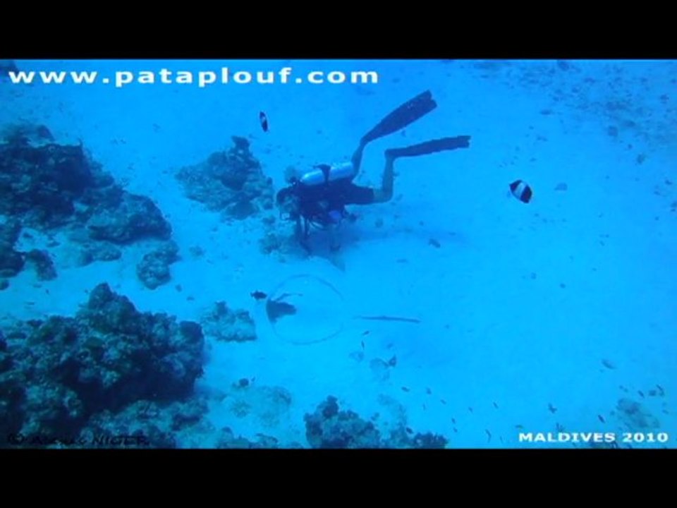 maldives_pataplouf2