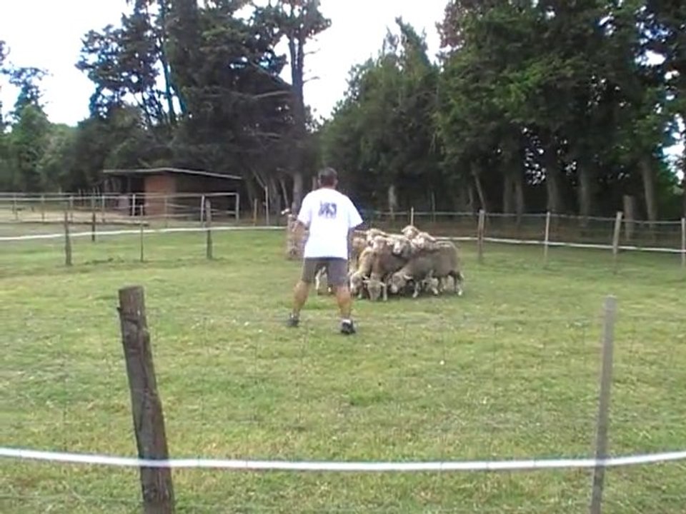 elixirr 2 abaust 09.09.10