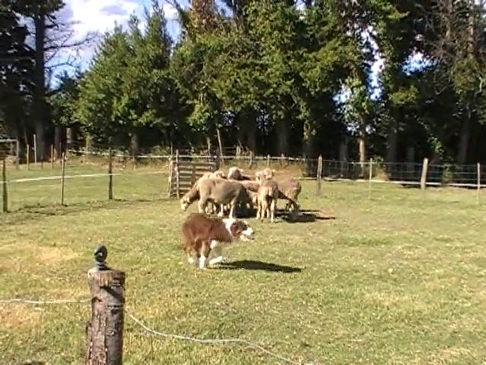 ethann abaust 09.09.10