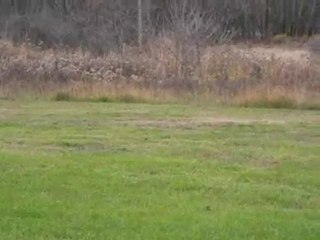 Homes for Sale - 0  Washington - Horicon, WI 53032 - Coldwel