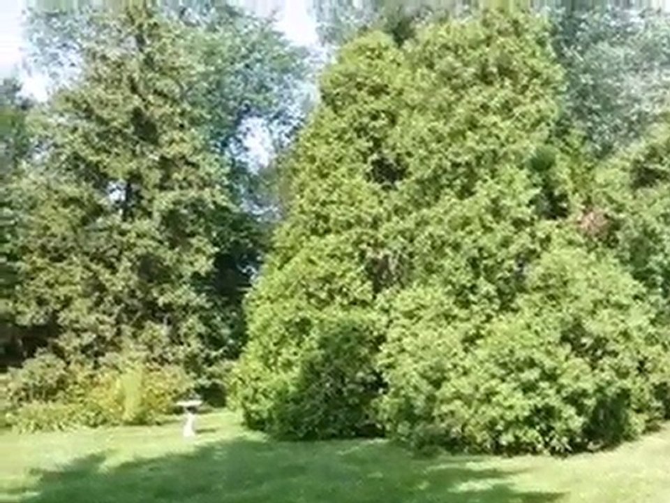 Homes for Sale - 619 E 5th Ave - Naperville, IL 60563 - Cold