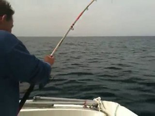 gros départ sériole sur 30/100 (début) pêche en corse sur Ajaccio