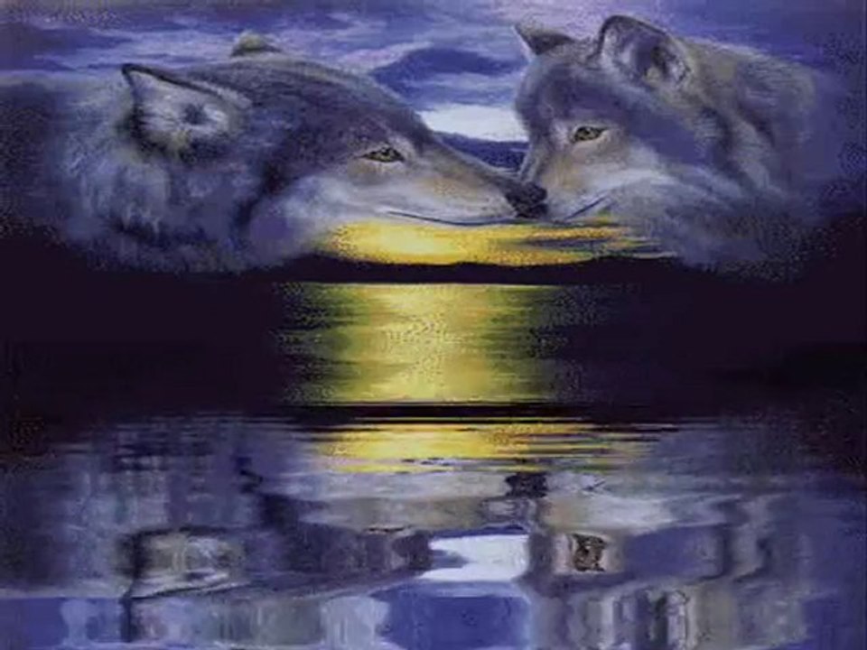 Atilla Yılmaz - Bozkurtlar