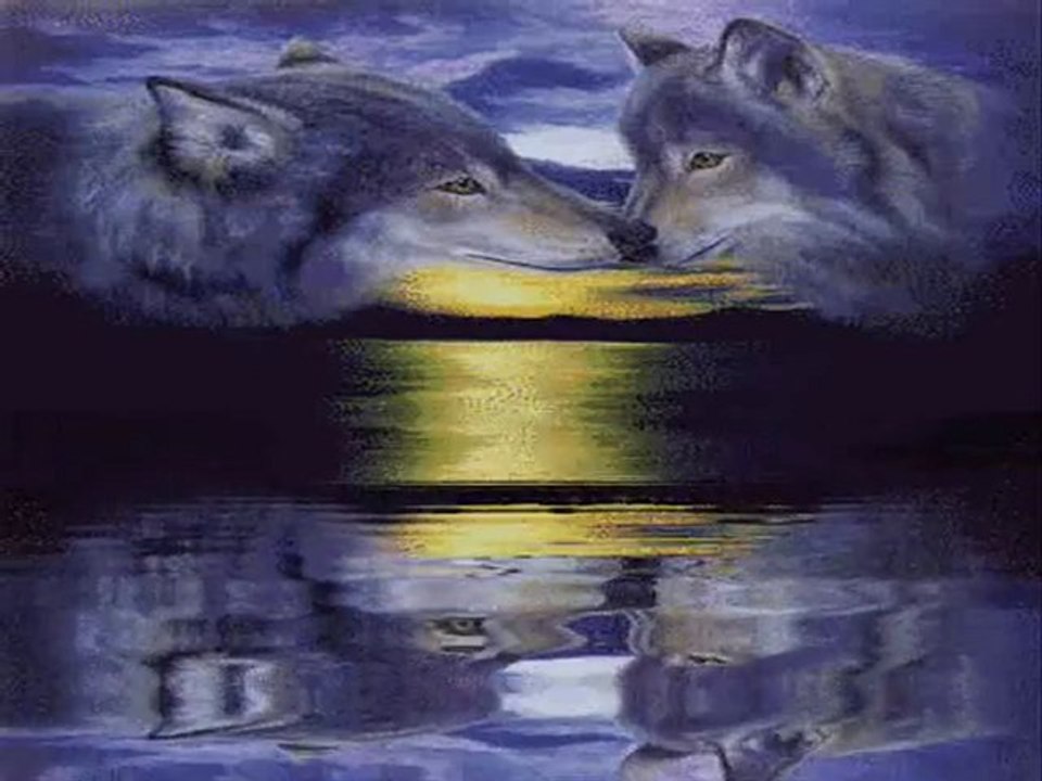 Atilla Yılmaz - Operasyon