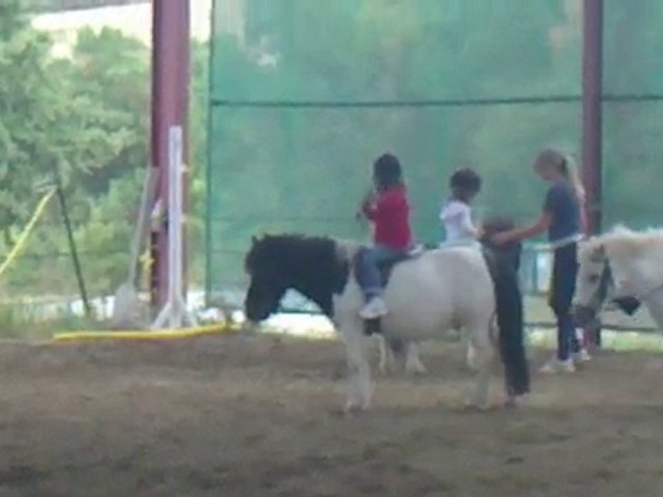 Septembre 2010 - Essai au poney club