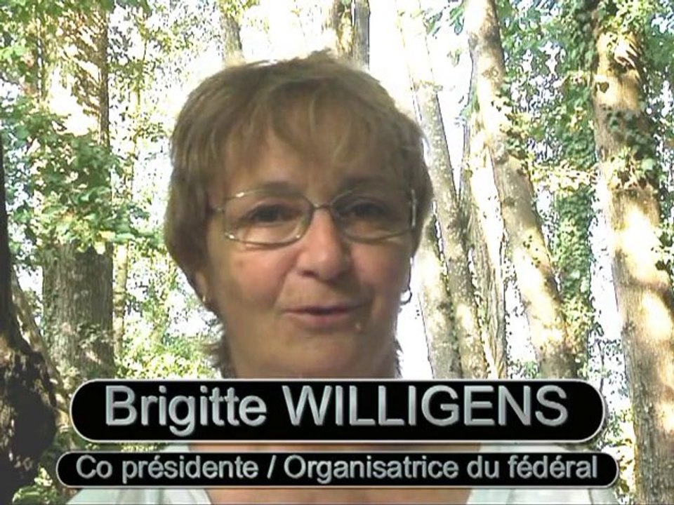 pervenches Film seul