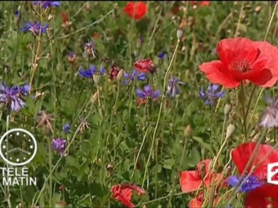 Chronique " A l'eau" David Lefort Télématin edf serre-ponçon