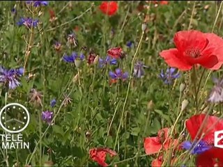 Chronique " A l'eau" David Lefort Télématin edf serre-ponçon