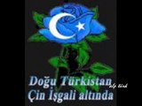 Çin işgali altında Doğu Türkistan
