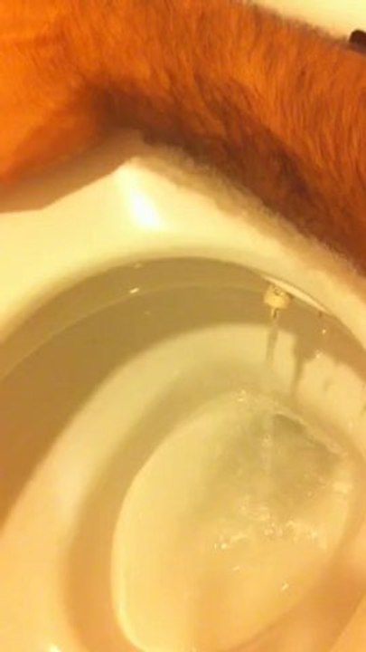 Bottom wash