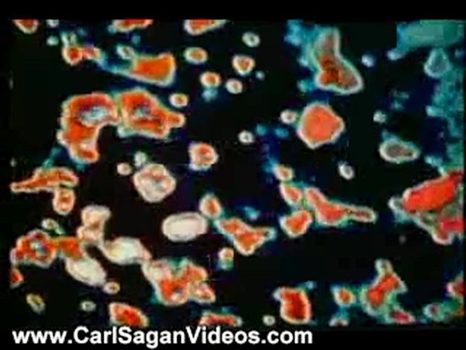Carl Sagan Videos: Who Speaks for Earth