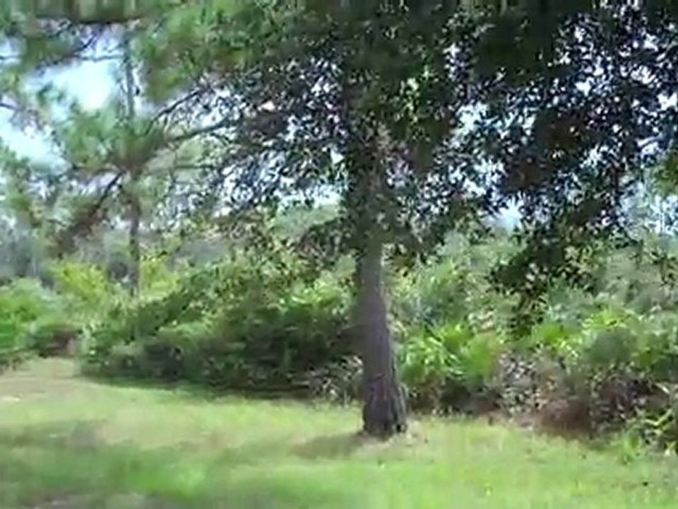 Koreshan State Park in Estero Florida
