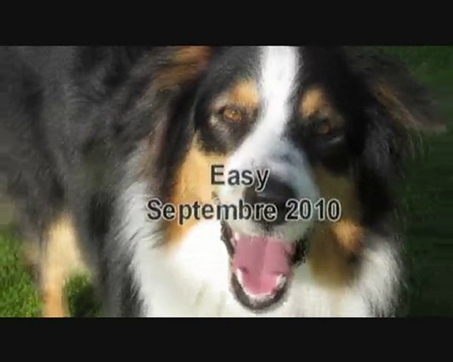 Easy Septembre 2010