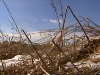 Rapaces d'élite part 1