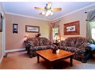 Homes for Sale - 1021 S Washington Ave - Park Ridge, IL 6006