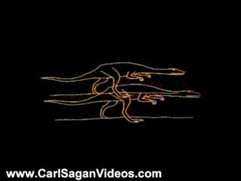 Carl Sagan Videos: Carl Sagan on Evolution