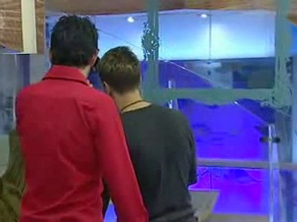 BB11 Day 44