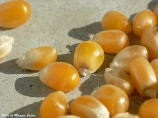 Ma version de Pop Corn façon Hot Butter.