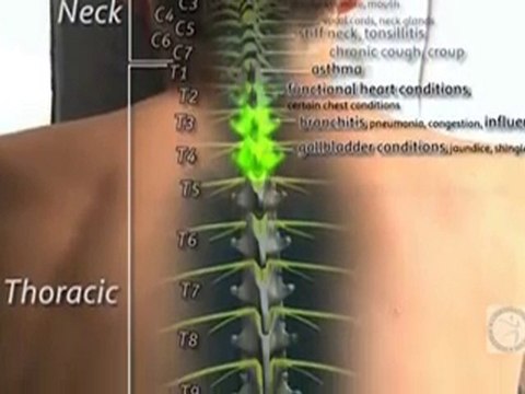 What Do Chiropractors Do? - Atlanta Ga Chiropractic Office