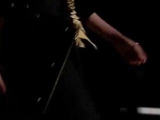 Yves Saint Laurent SS 2010 Défilé