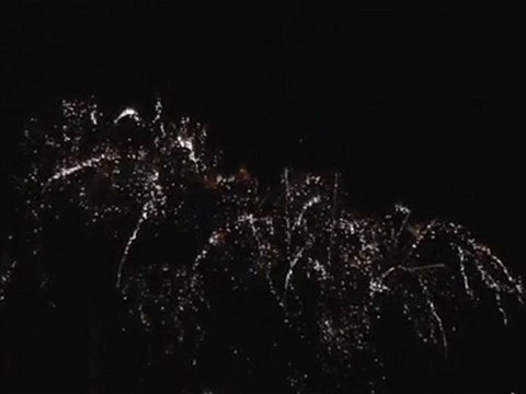Feu d'artifice 15 Août 2010 Carry le Rouet 1er partie
