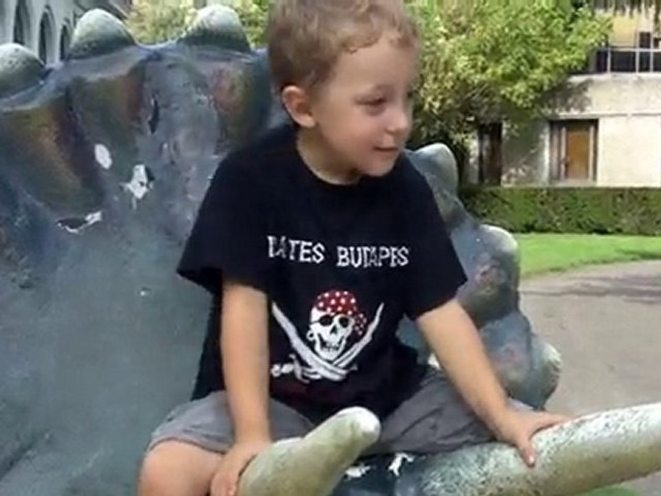 Triceratops 13-08-2010