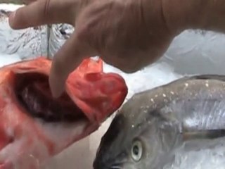 Buy Fresh Fish with These Tips.