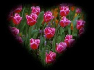 Tülay Özer & Kıraç Kolay vazgeçmeyi öğrendim artık