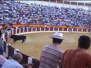 TOROS CEHEGIN  -11-9-10