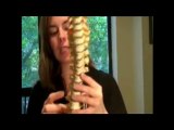 Rockville Chiropractor Scoliosis Spinal Decompression