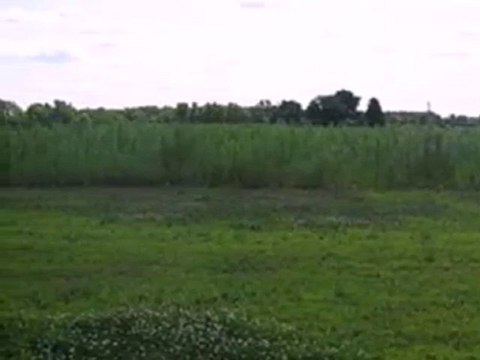 Homes for Sale - 0 Grove St - Wheatfield, IN 46392 - Coldwel