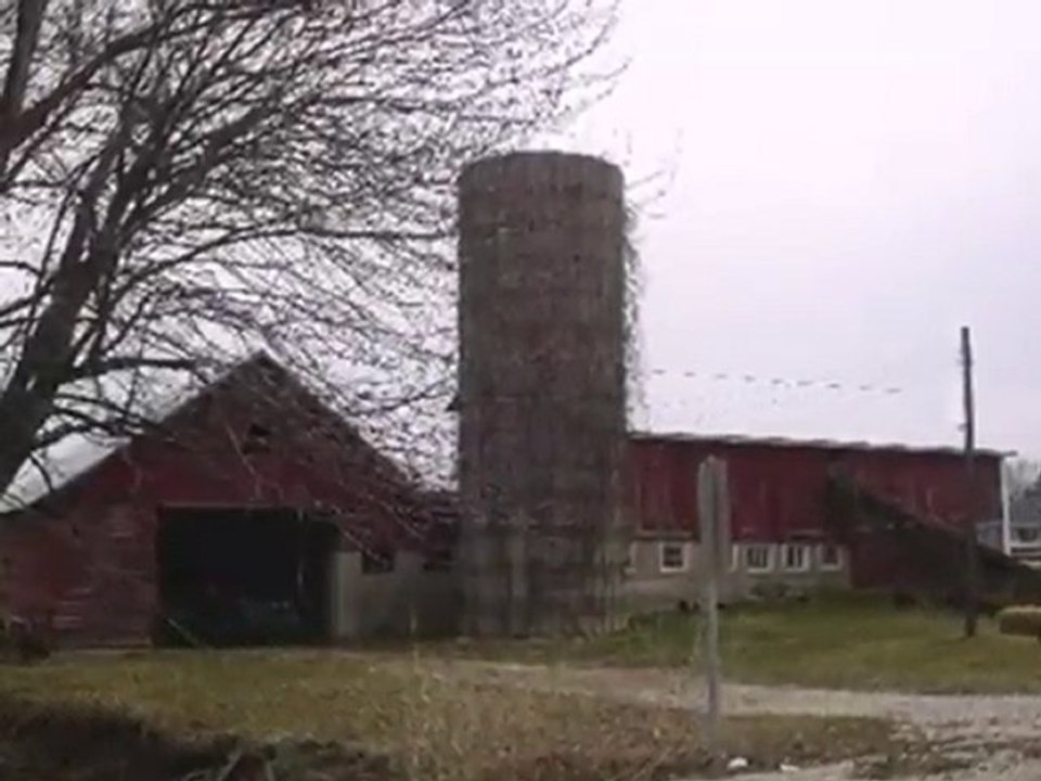 Homes for Sale - 14040 South CHI BLOOMINGTON Road - HOMER GL