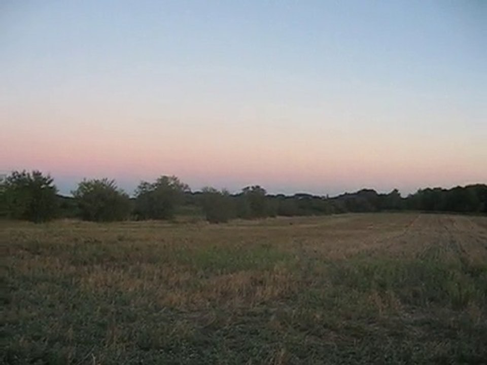 Call et Dice , entrainement au fields sept 2010