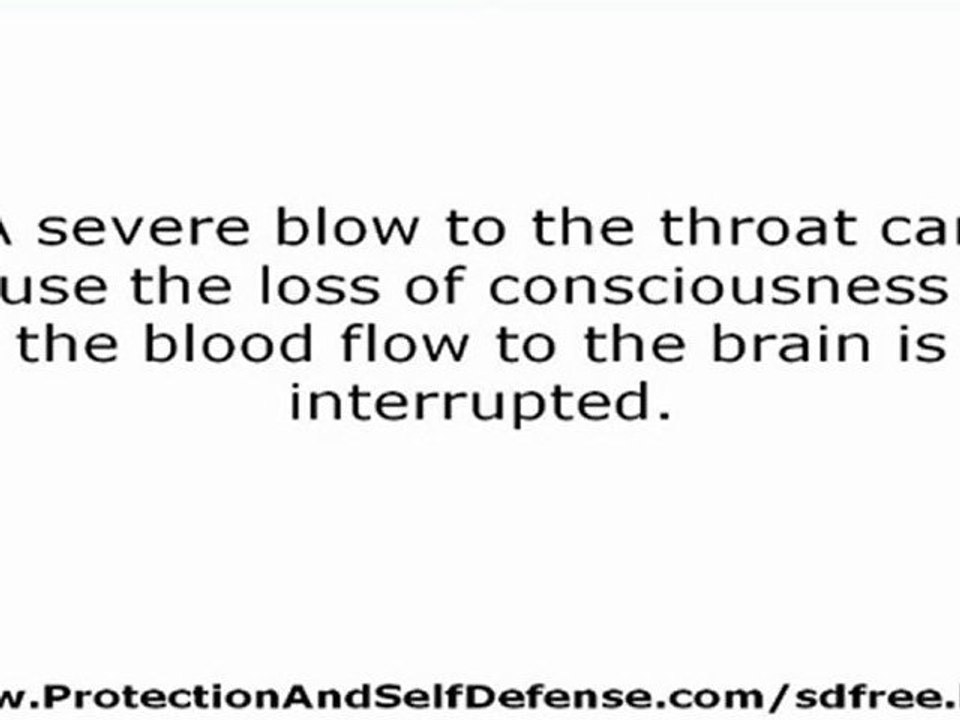 Self Defense Techniques