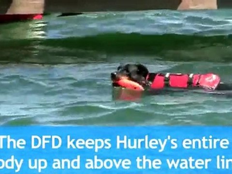 Dog Life Vests, Dog Life Jackets, Dog Life Preserver, Dog P