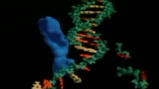 Carl Sagan Videos: Carl Sagan on DNA