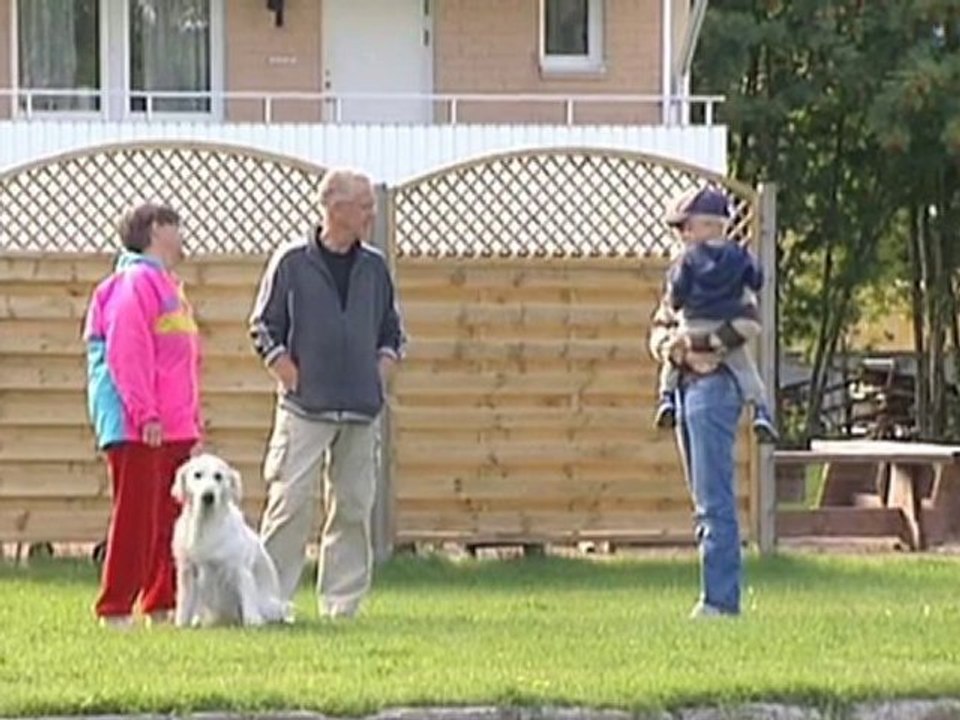 Bostadsföretag Norrbottens Län Boden Wiksténs Fastigheter AB