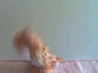 şemsettin bin oğlum şu arabaya