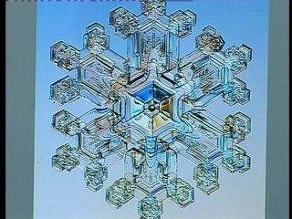 Adnan Oktar GaziantepOlay100123 kar taneleri