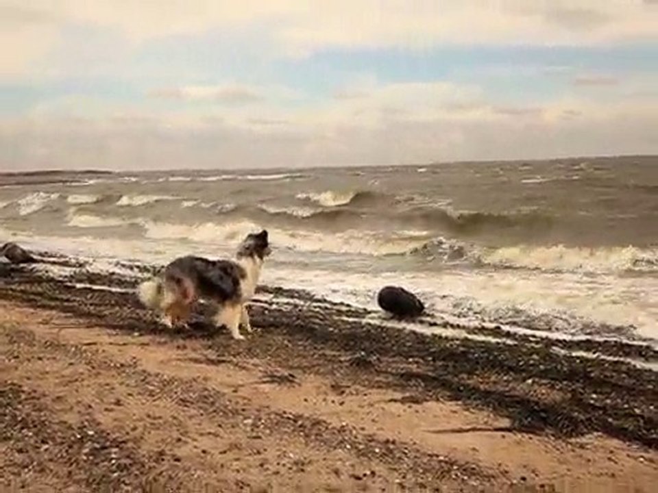Danemark plage