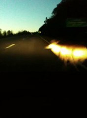 Collision voiture vs biche