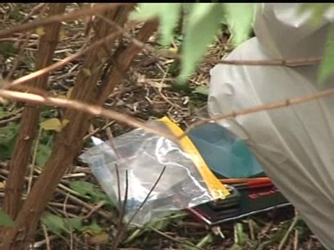 Prostitute murder accused attempts suicide