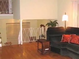 Homes for Sale - 357 W Edson Pl - Lombard, IL 60148 - Coldwe