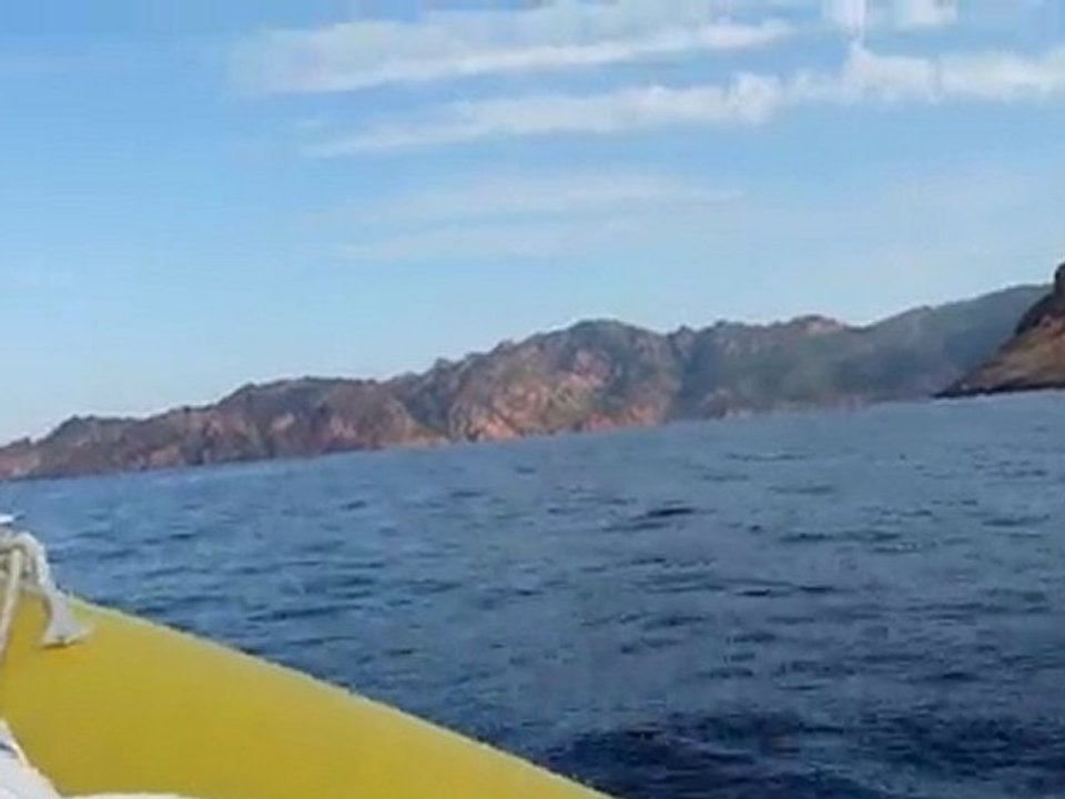 Sarkoscud golfe de Porto (Corse) vers la Réserve de Scandola