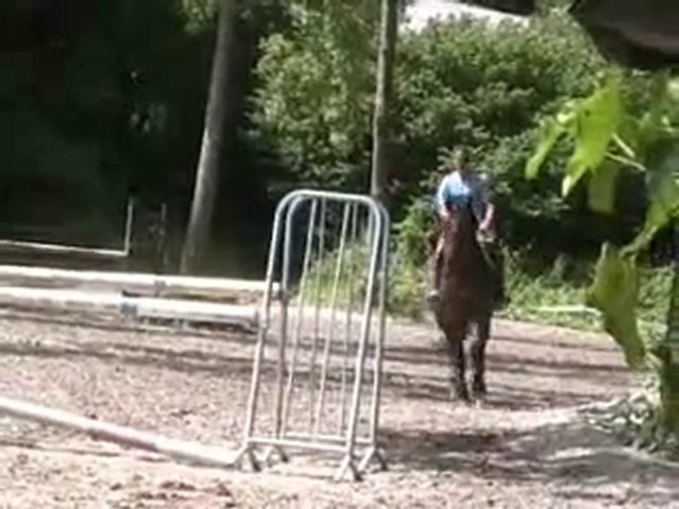 Séance d'entrainement pour Romane de Kervel (juillet 2010)