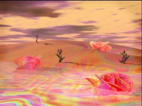 Лекции за исляма - Тефсир на сура Худжурат (1-5) - част 4