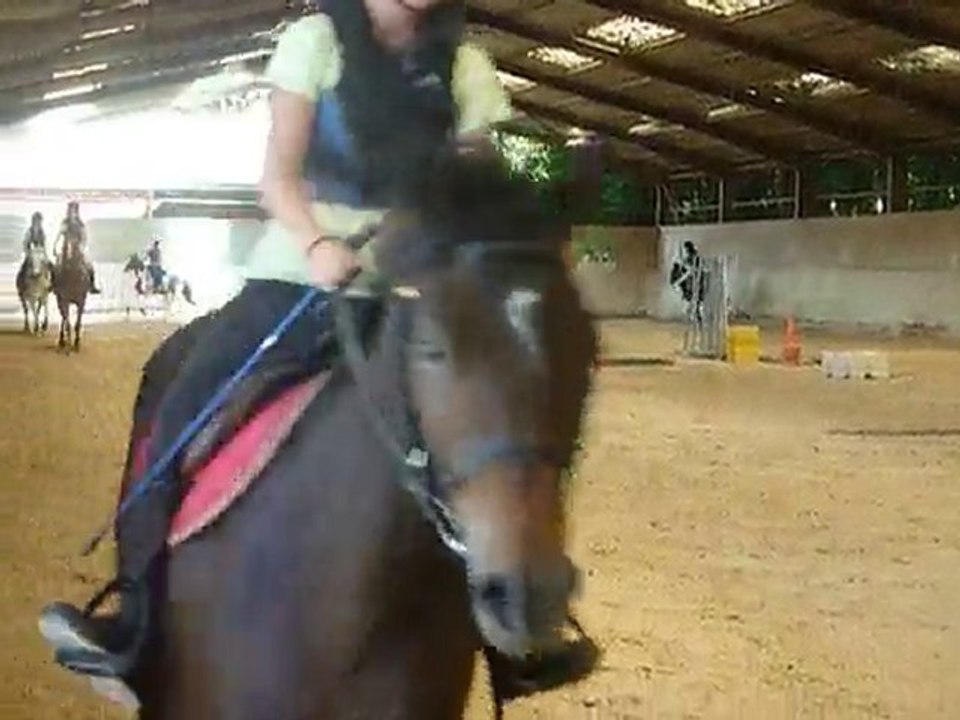 Cour d'equitation a 1h30 au Manoir =)