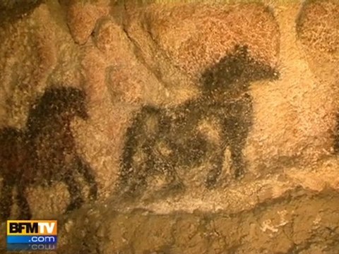 La grotte de Lascaux victime des champignons