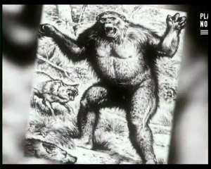 Forces obscures >> Cryptozoologie (2)